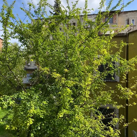 Cenis Tirana